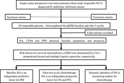 Hyaluronic Acid Correlates With Bone Metastasis and Predicts Poor Prognosis in Small-Cell Lung Cancer Patients